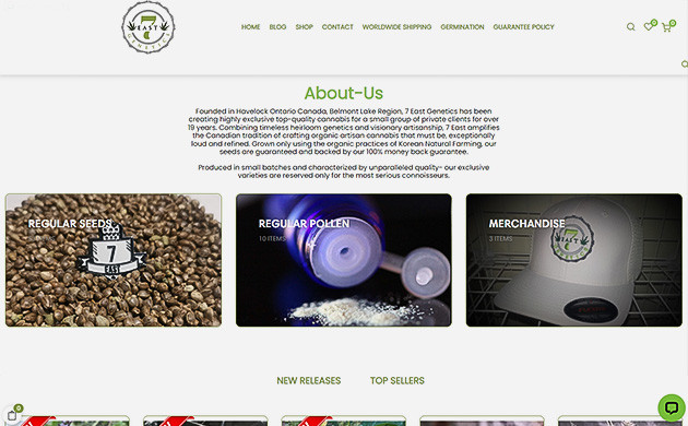 Разработка сортов конопли от 7 East Genetics