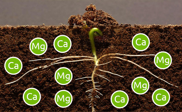 Влияние низкого уровня pH и других веществ