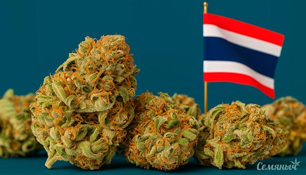 Пересмотр запрета на рекреационную коноплю в Таиланде