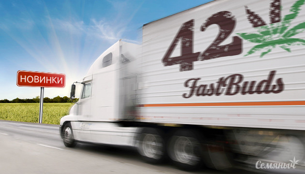 Пополнение новинками FastBuds