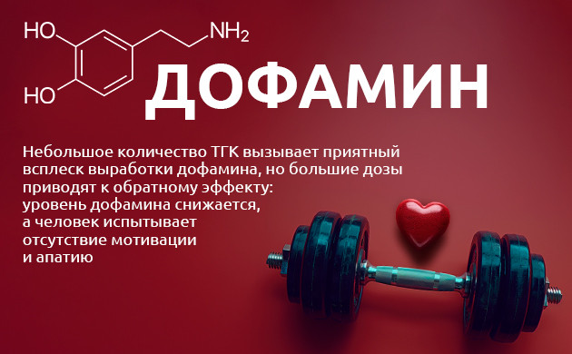 ТГК и мотивация: взаимосвязь