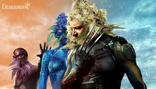 Конопляные мутанты