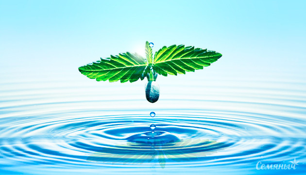 Всемирный день воды с Семянычем