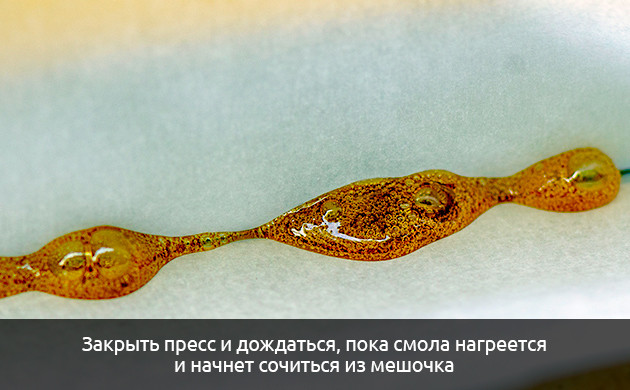 Закройте пресс