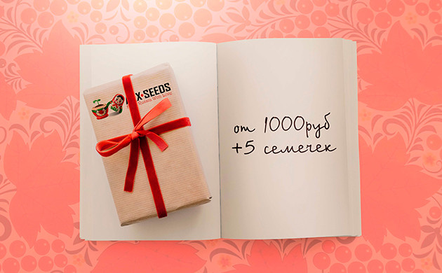 Сидбанк Axxseeds и его спецпредложения