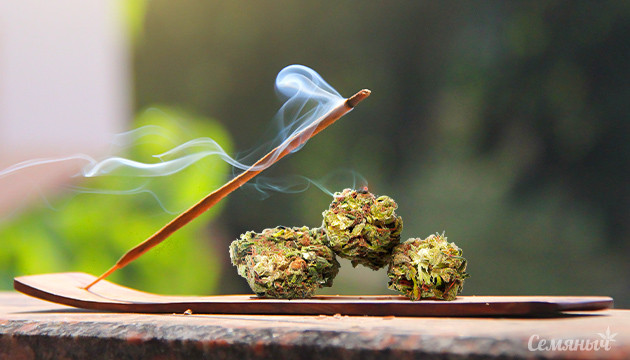 Благовония и шишки конопли
