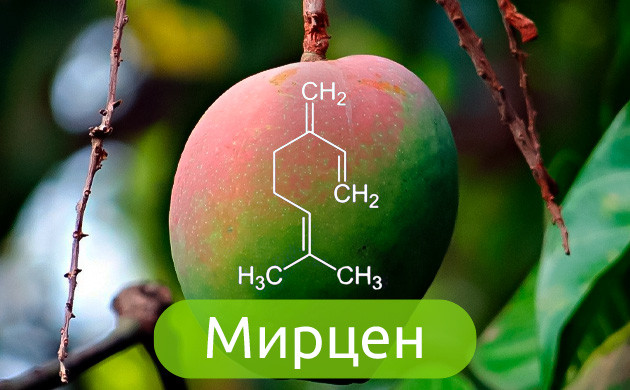 Химическое соединение мирцена