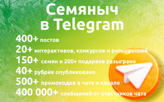 «Семяныч» в Telegram