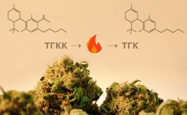 Трансформация ТГКК в ТГК: процесс декарбоксилирования