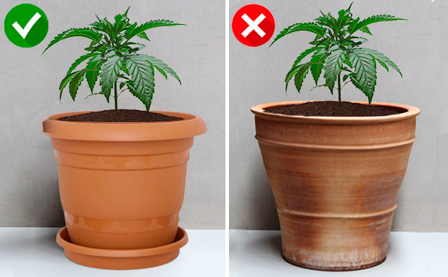 Горшок с блюдцем и без