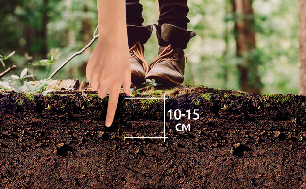 Проверка влажности на глубине 10-15 см