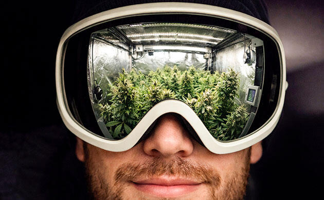 Доступная альтернатива гроверским очкам Работа в гроутенте в очках