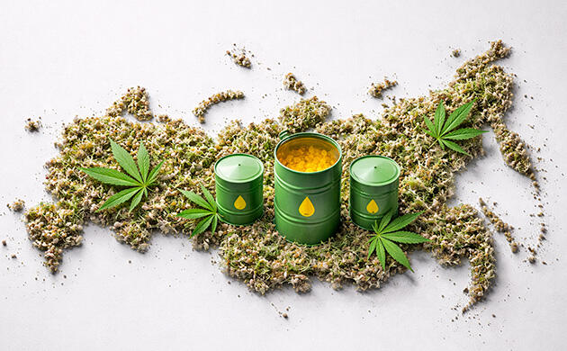 Производство и распределение конопляного биотоплива