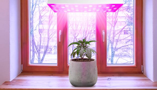 Освещение при индорном выращивании рассады