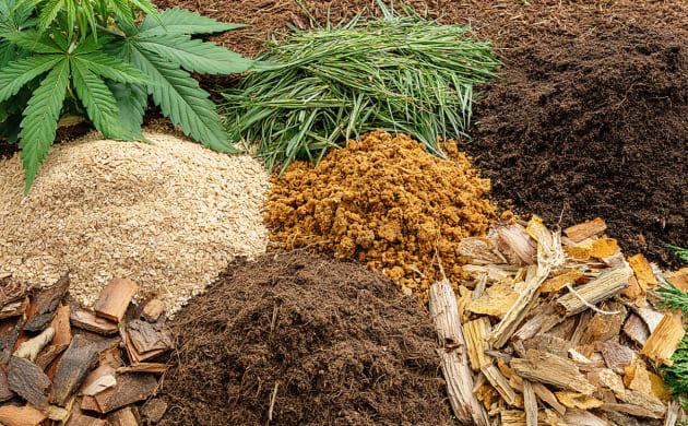 Органическая мульча для конопли