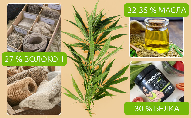 Процентное соотношение изготовления волокон, масла и белка