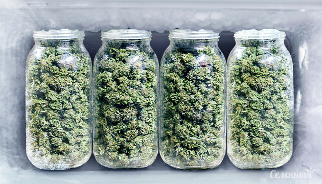 Хранение готового урожая