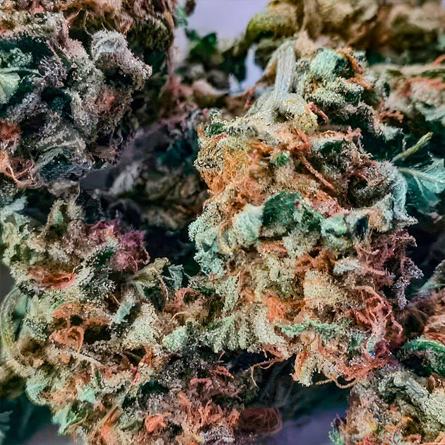 Green Crack 2.0: отзывы и выводы