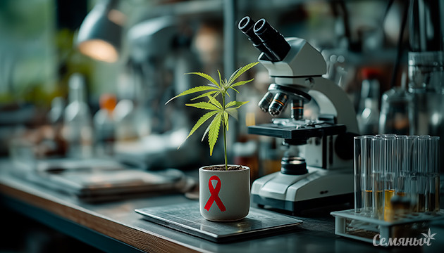 Каннабис и рак: подтверждена эффективность терапии