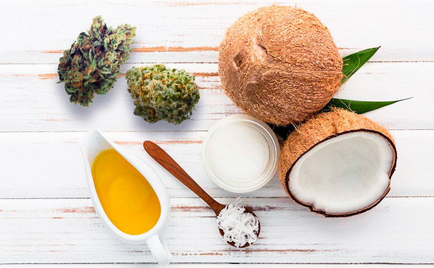 Ингредиенты для приготовления ТГК-меда