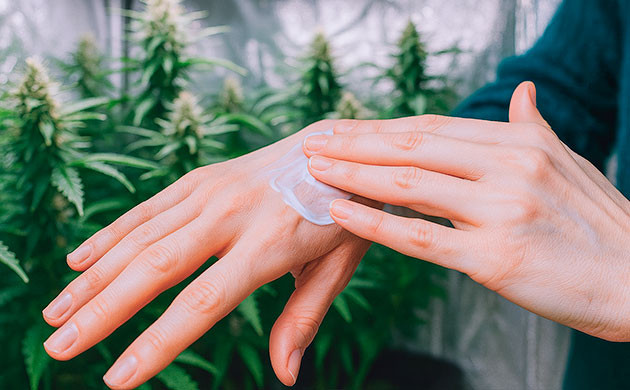 Противовоспалительные и болеутоляющие свойства