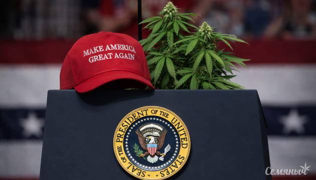 От запрета к медицине: в США пересмотрели статус каннабиса