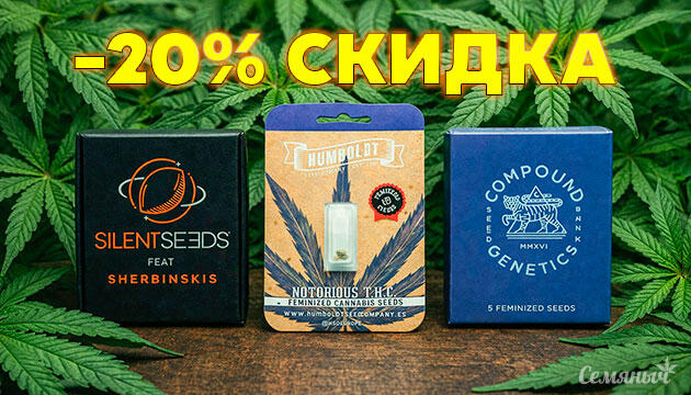 Скидка 20% на сидбанки: Compound Genetics, Humboldt Seed Company, Silent Seeds