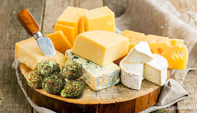 Подборка семян сырной конопли ко дню любителей сыра