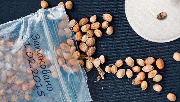 Проращивание лежалых семян