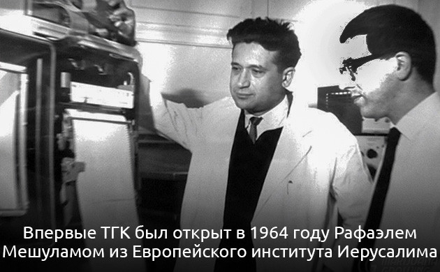 Воздействие марихуаны на организм человека