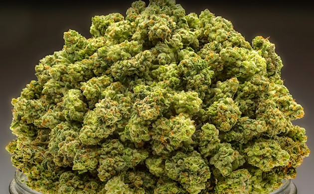 Долговечность и качество бутонов