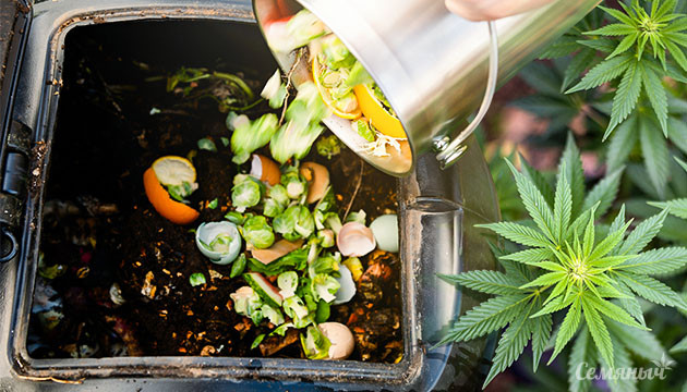 Как сделать домашний компост для конопли