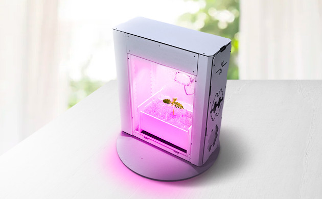 Безопасность при выращивании авто марихуаны