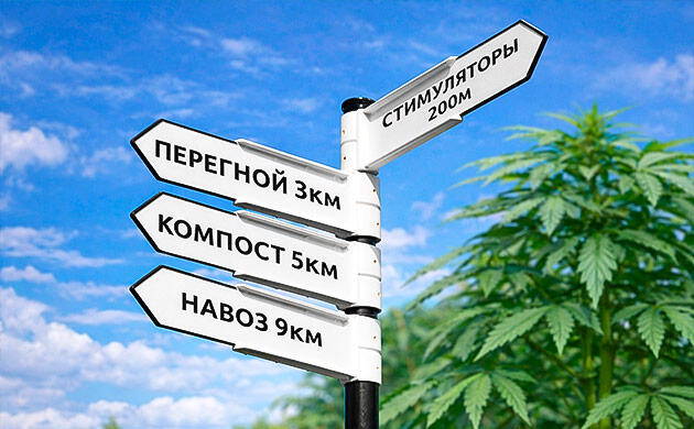 Органическое выращивание каннабиса без стимуляторов