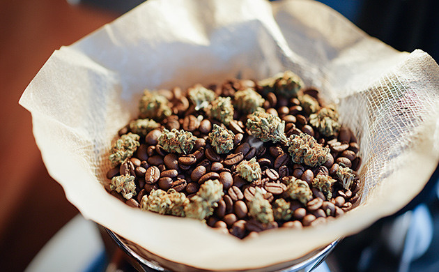 Как использовать кофейную гущу?