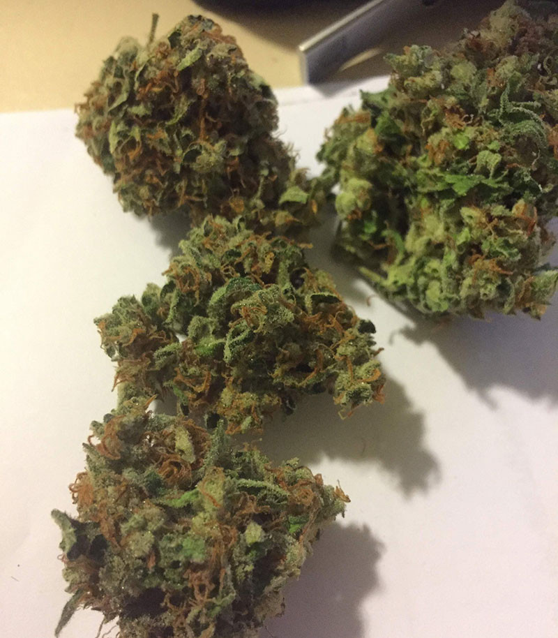 Шишки сорта LSD