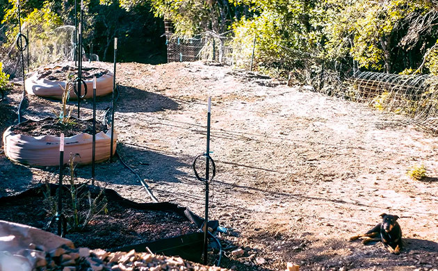 День 10. Выходной