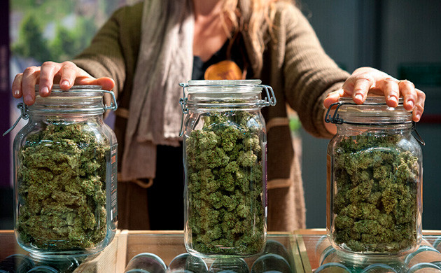 Доступность конопли в клубах