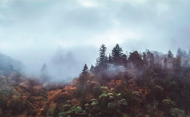 День 5. Результат – 400 грамм