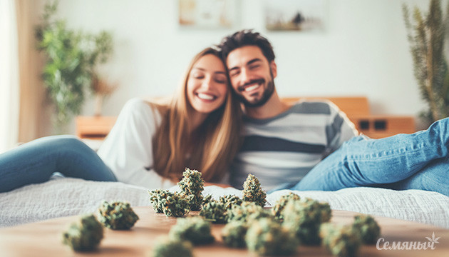 Досуг после использования конопли