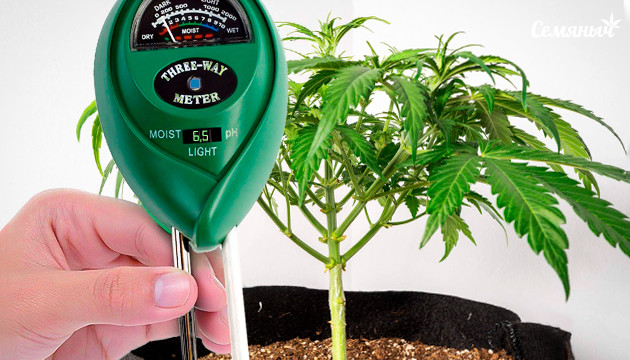Измерение pH и ЕС конопли