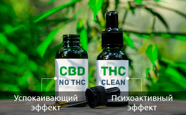 Каннабиноиды в маслах