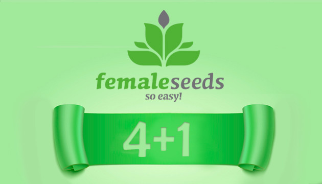 Акция от Female Seeds