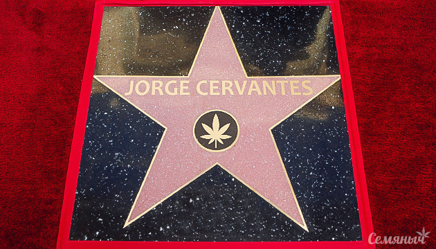 Звезда «Аллеи славы» Хорхе Сервантеса