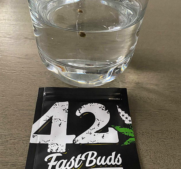 Проращивание семян конопли