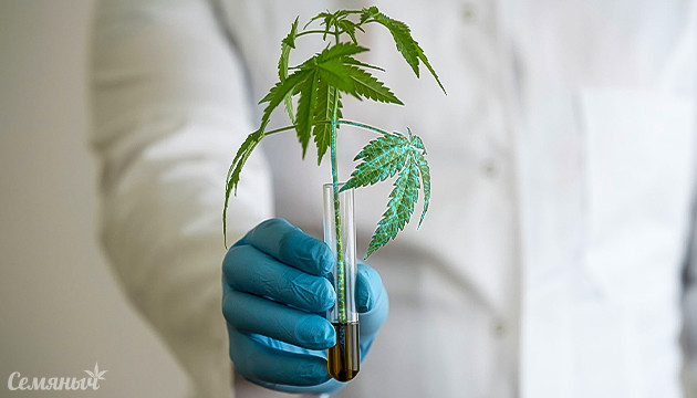 Ферменты для конопли