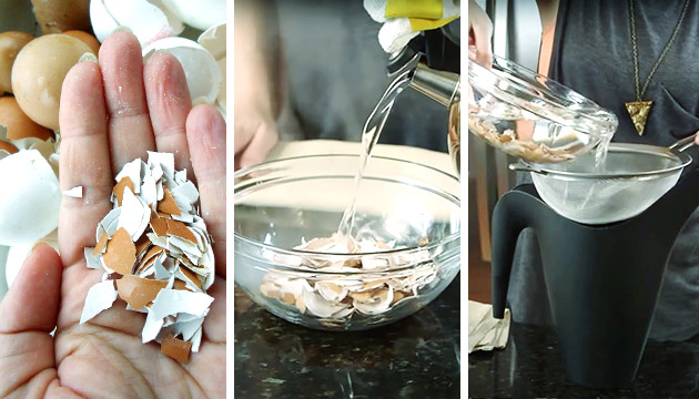 Приготовление смеси из яичной скорлупы