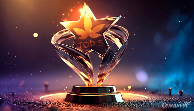 Убойный эффект индики: спокойствие и релакс