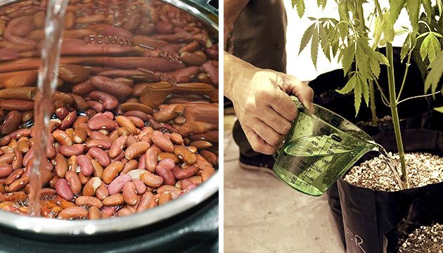 Приготовление смеси из фасоли