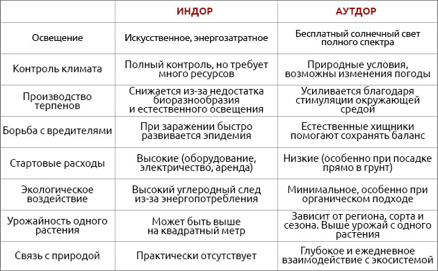 Нюансы выращивания марихуаны в индоре и аутдоре